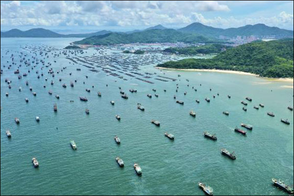 เมืองหยางเจียง มณฑลกวางตุ้งเปิดให้ทำประมงในทะเลจีนใต้อีกครั้ง_fororder_20200817kyj1