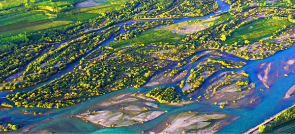 ภาพถ่าย "สีสันของโลก" ในพื้นที่ชุ่มน้ำทางตอนใต้ของซินเจียง_fororder_xinjiang4