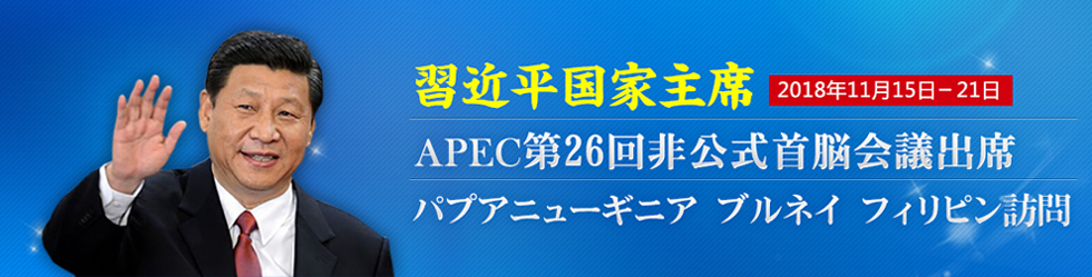 習主席  APEC第26回非公式首脳会議に出席_fororder_990