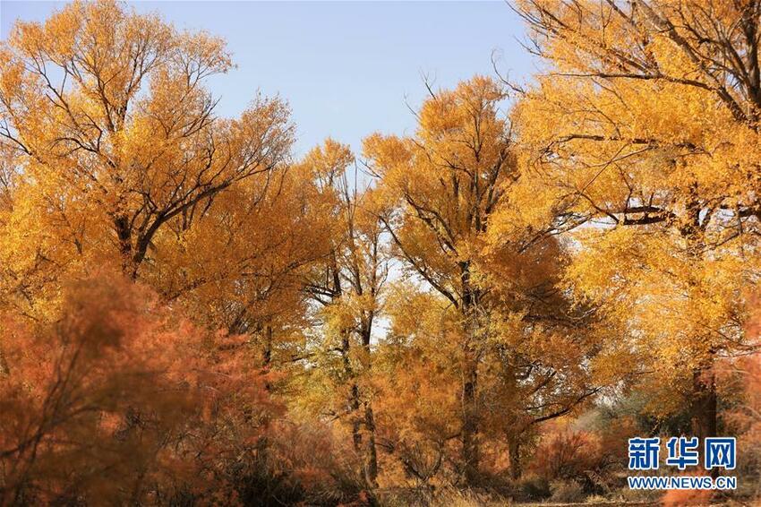 Pemandangan Musim Gugur di Gansu_fororder_沙乡2020101503