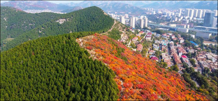 ภูเขาสวยครึ่งเขียวครึ่งแดงในเมืองจี่หนาน_fororder_201023banshanjing1