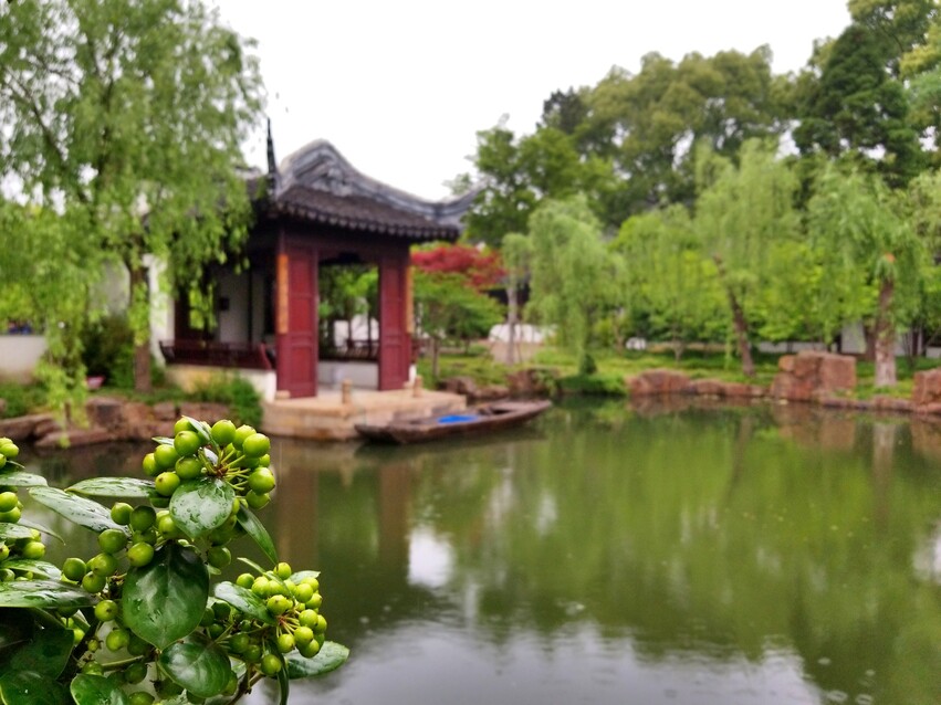Garden Suzhou Yang Terpesona(photo by Jinghua)