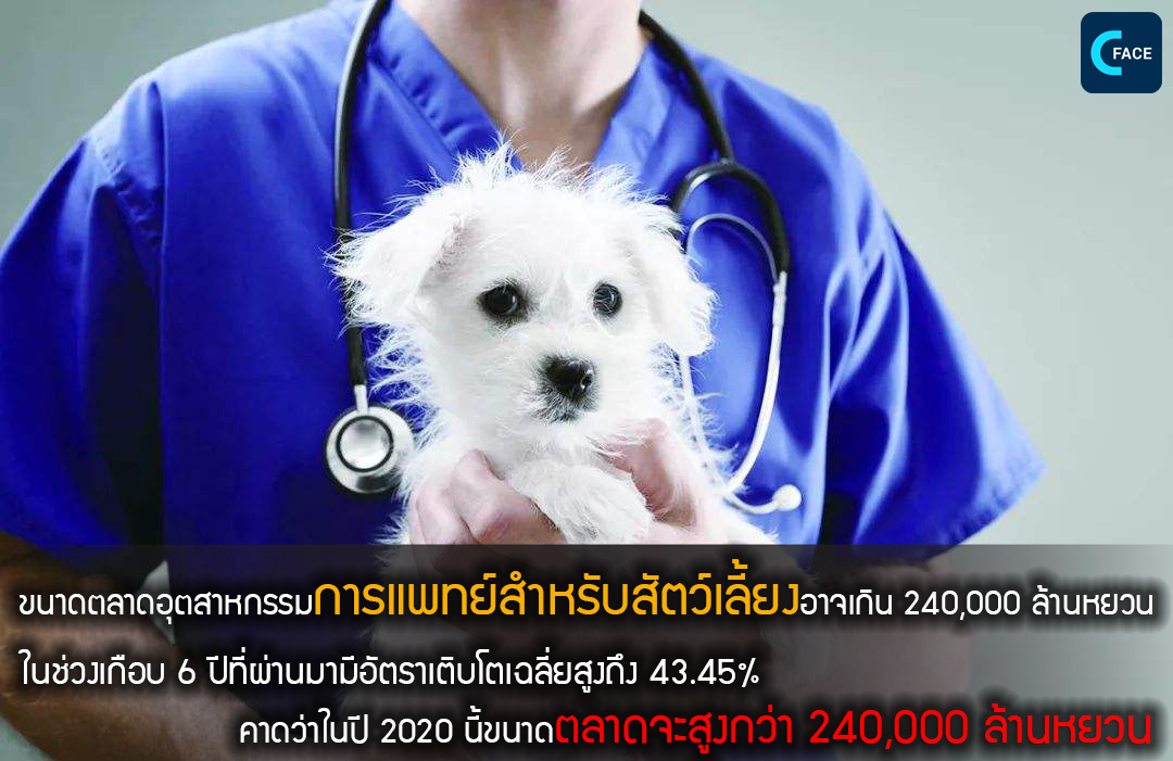 ขนาดตลาดอุตสาหกรรมการแพทย์สำหรับสัตว์เลี้ยงอาจเกิน 240,000 ล้านหยวน (ราว 1.11 ล้านล้านบาท)