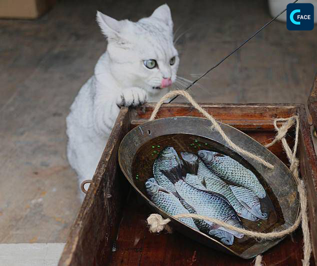ปลาน้อยที่เขาวาดทำให้แมวเลียอย่างเมามัน ภาพวาดเรซิ่น 3D ของหนุ่มคนนี้ดังไปถึงต่างประเทศ