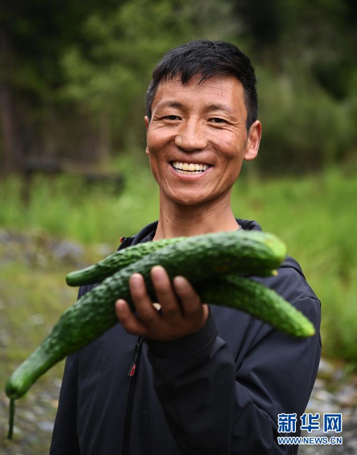 पेशागत सहकारीमार्फत् तिब्बतका ५.३लाख किसान पशुपालक गरिबी मुक्त