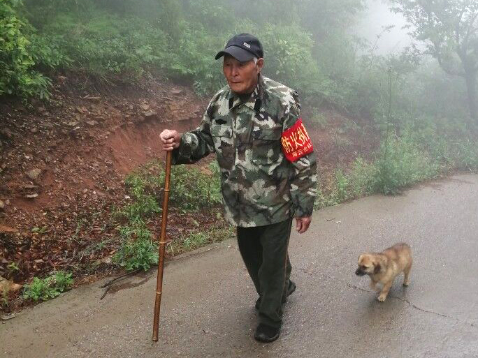 “ผู้พิทักษ์ป่า”ที่ดีที่สุดของจีน ยืนหยัด“เฝ้าสีเขียว”ต่อเนื่อง 28 ปี