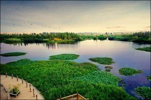 จีนพัฒนาอุทยานพื้นที่ชุ่มน้ำแห่งชาติใหม่ 201 แห่ง