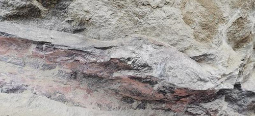 มณฑลเสฉวนขุดพบฟอสซิลไดโนเสาร์ 160 ล้านปีก่อน_fororder_6-1_副本