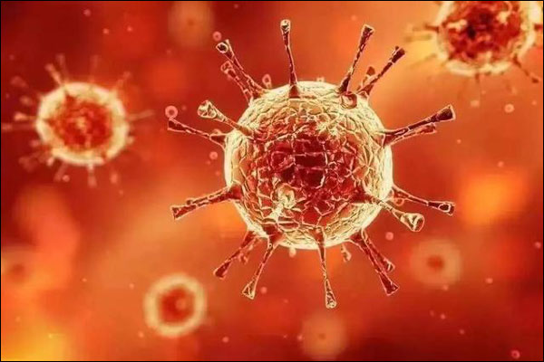 WHO รายงานพบไวรัสโคโรนาสายพันธุ์ใหม่ 4 สายพันธุ์_fororder_20210102xg1