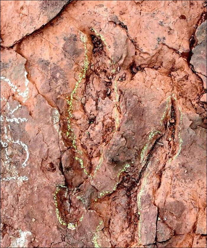 มณฑลฝูเจี้ยนพบ “รอยเท้าไดโนเสาร์ปลายยุคครีเทเชียส” กว่า 240 รอย_fororder_210114konglongzuji5