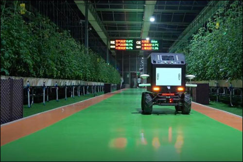 อูเจิ้นพัฒนา“การทำเกษตรอัจฉริยะ”หุ่นยนต์กลายเป็น“ชาวนายุคใหม่”_fororder_20210104zhny1