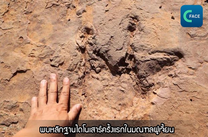 พบหลักฐานไดโนเสาร์ครั้งแรกในมณฑลฝูเจี้ยน_fororder_20210116_6
