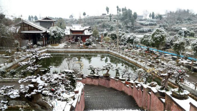 หิมะตกในสวนบอนไซ_fororder_pengj-5