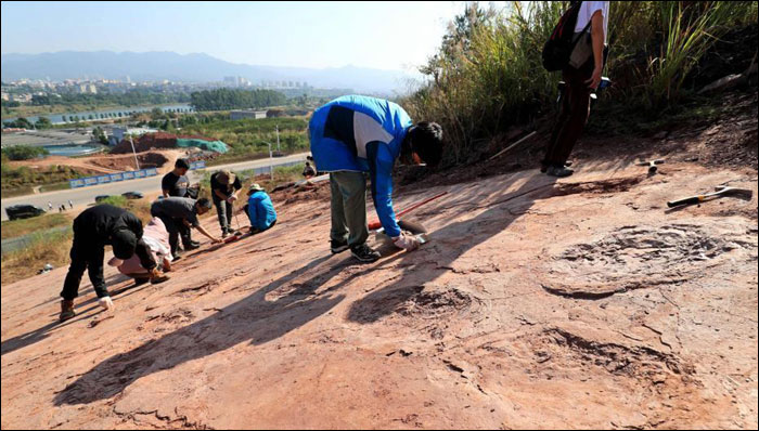 มณฑลฝูเจี้ยนพบ “รอยเท้าไดโนเสาร์ปลายยุคครีเทเชียส” กว่า 240 รอย_fororder_210114konglongzuji3