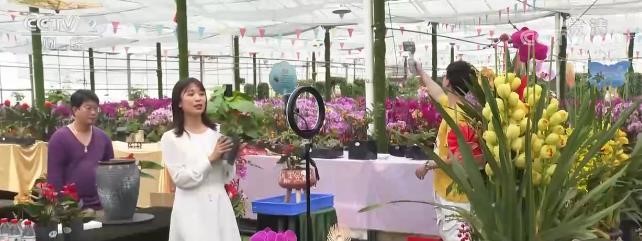 มณฑลกว่างตงเปิด “ตลาดดอกไม้ออนไลน์” รับเทศกาลตรุษจีน_fororder_210126xianshanghuashi