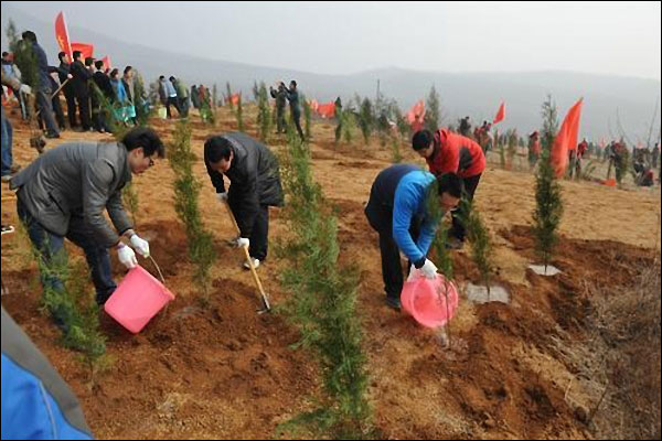 จีนเสร็จสิ้นการปลูกป่าพื้นที่ 545 ล้านโหม่ว ระหว่างปี 2016 – 2020_fororder_20210127zl2