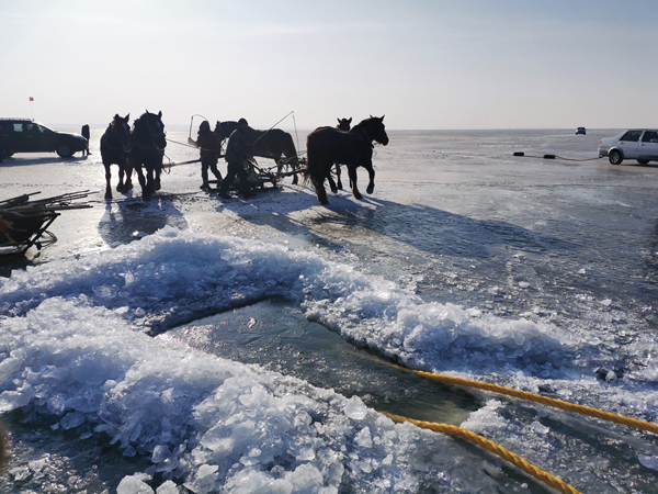 การเจาะน้ำแข็งจับปลาในทะเลสาบฉาการหูน่ามหัศจรรย์มาก_fororder_0223-4