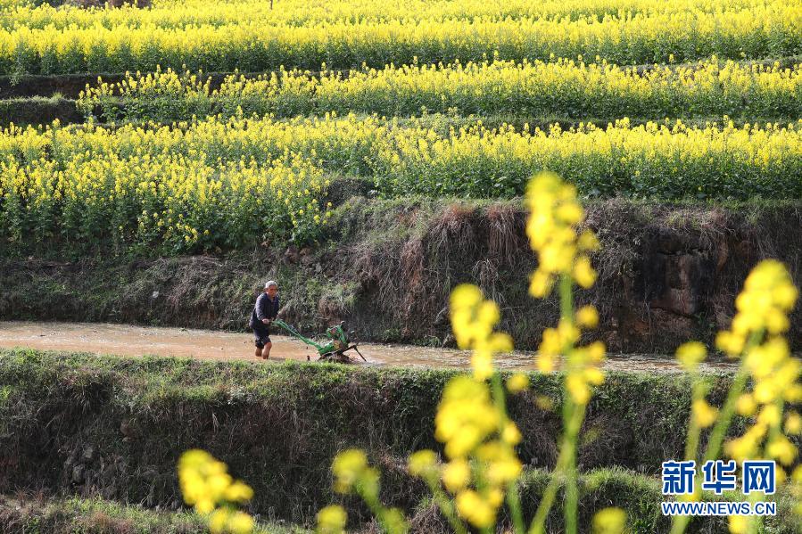 Bangkitkan Pertanian Dengan Berbagai Acara di Tiongkok Selatan_fororder_hh3