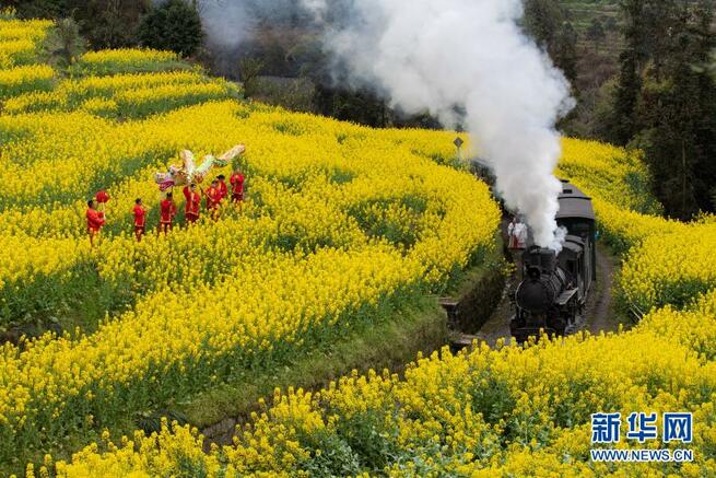 蒸気機関車に乗って、花畑を駆け抜けよう！　四川省_fororder_FOREIGN202103041622000318459890561