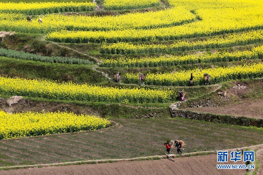 Bangkitkan Pertanian Dengan Berbagai Acara di Tiongkok Selatan_fororder_hh1
