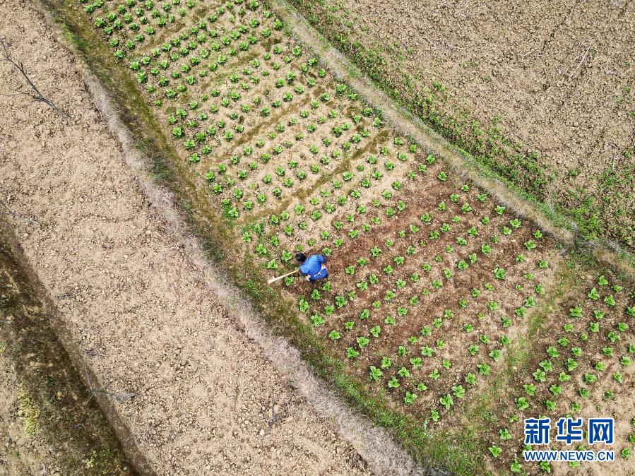 Bangkitkan Pertanian Dengan Berbagai Acara di Tiongkok Selatan_fororder_hh4
