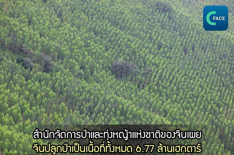 สำนักจัดการป่าและทุ่งหญ้าแห่งชาติของจีนเผย จีนปลูกป่าเป็นเนื้อที่ทั้งหมด 6.77 ล้านเฮกตาร์_fororder_20210316News09