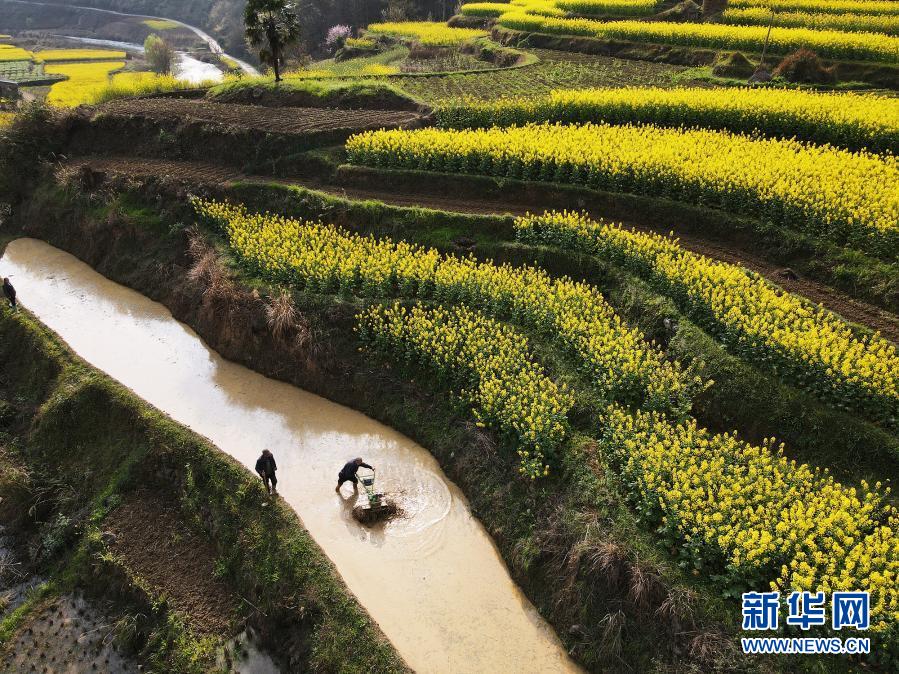 Bangkitkan Pertanian Dengan Berbagai Acara di Tiongkok Selatan_fororder_hh2