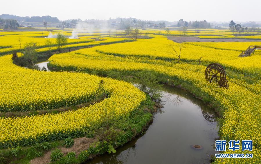 Bangkitkan Pertanian Dengan Berbagai Acara di Tiongkok Selatan_fororder_hh7