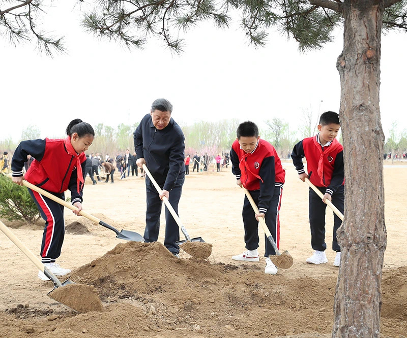 Xi Jinping Berpartisipasi dalam Kegiatan Penanaman Pohon Wajib di Ibu Kota_fororder_xi1