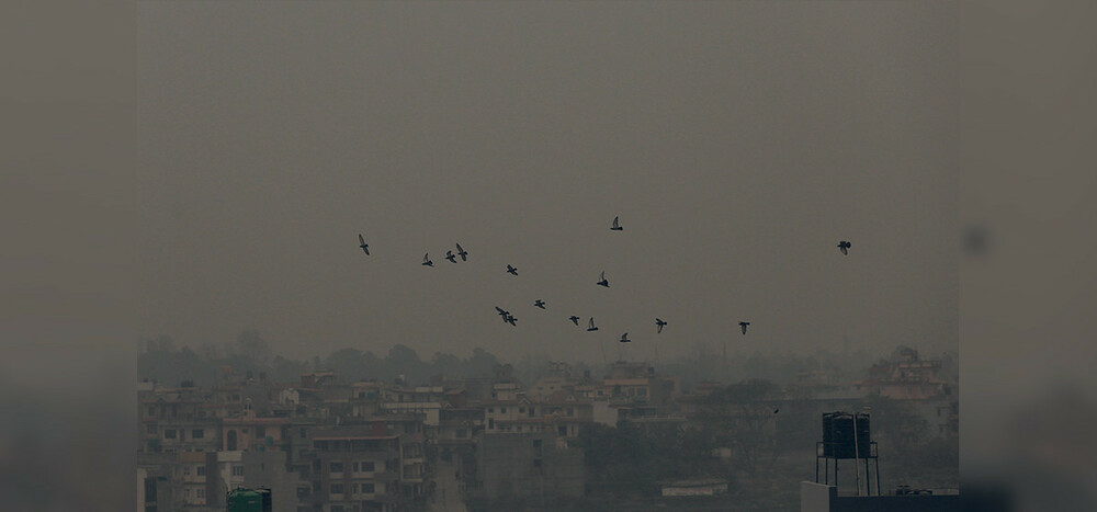 वायु प्रदूषणले आँखाका बिरामी बढ्दै_fororder_Nepali News 4