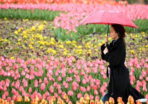 เมืองซีอันเปิดงานชมดอกไม้ฤดูใบไม้ผลิครั้งที่ 29_fororder_西安植物园1_副本