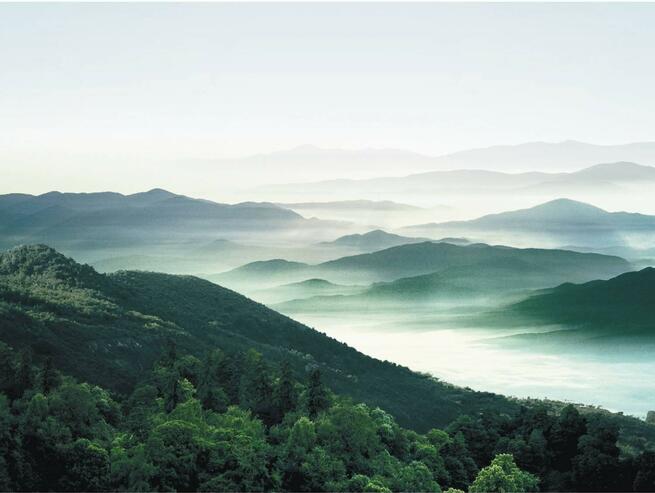 中国の森林面積は2億2000万ヘクタール、森林カバー率は23.04%_fororder_网2-0607