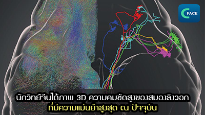 นักวิทย์จีนได้ภาพ 3D ความคมชัดสูงของสมองลิงวอกที่มีความแม่นยำสูงสุด ณ ปัจจุบัน_fororder_2021073106News