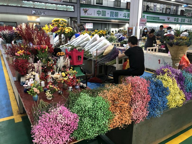 หมู่บ้านเล็กๆของคุนหมิง กลายเป็นเมืองแห่งดอกไม้ระดับเอเชีย_fororder_斗南花卉市场各色各样的鲜切花