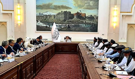 افغان عبوری وزیراعظم سے ڈبلیو ایچ او کے ڈائریکٹر جنرل کی ملاقات_fororder_5