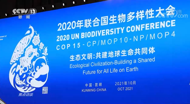 บทวิเคราะห์ : จิตสำนึกการคุ้มครองความหลากหลายสิ่งมีชีวิตนับวันหยั่งรากลึกลงในหัวใจประชาชนจีน_fororder_10月11日，《生物多样性公约》缔约方大会第十五次会议（COP15）第一阶段会议将在云南昆明召开