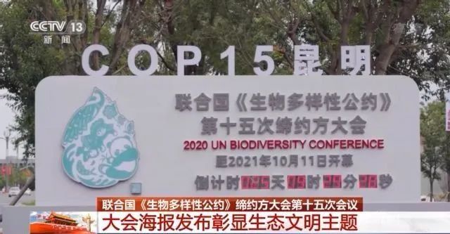 การประชุม COP15 เปิดบทใหม่แห่งการอนุรักษ์ความหลากหลายของสิ่งมีชีวิตในโลก_fororder_1