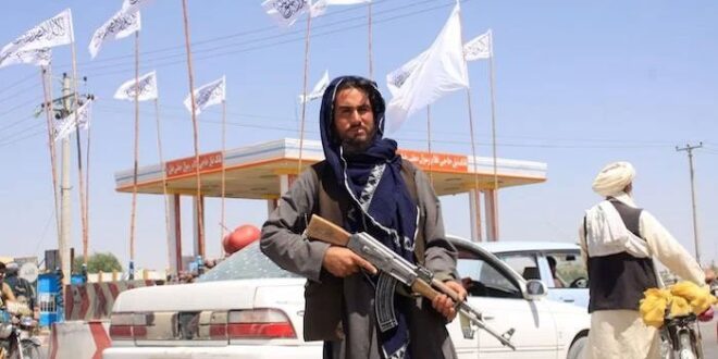 طالبان نے غیرقانونی سرگرمیوں میں ملوث تقریباً 3 ہزار ارکان کو برطرف کردیا_fororder_WechatIMG240