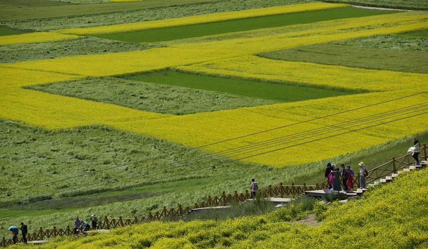 图片默认标题_fororder_qinghai5