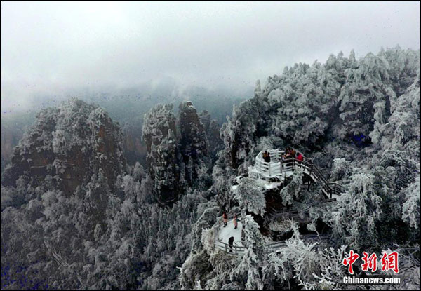 "ป่าเขาอู่หลิงหยวน" ที่ปกคลุมด้วยหิมะและน้ำแข็งในเขตจางเจียเจี้ย