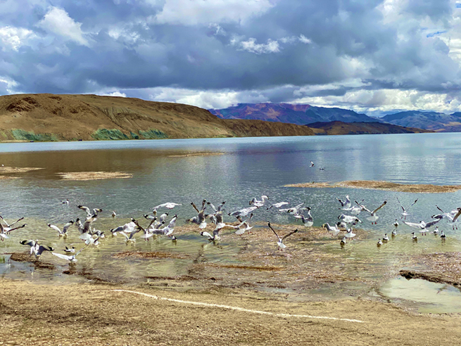 趙雲莎記者が伝えるチベットの今―④聖湖マーナサローワル湖を訪ねて_fororder_1b