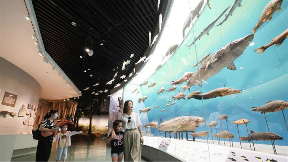 ผู้ปกครองจีนพาลูกเที่ยวพิพิธภัณฑ์ช่วงปิดเทอมฤดูร้อน_fororder_0806bwg-1