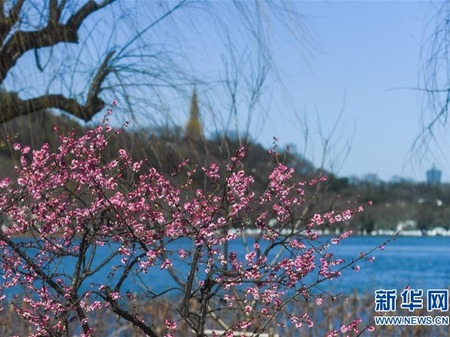 Pemandangan Musim Semin dan Panas Danau Xihu