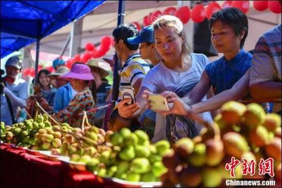 เมืองไหโข่วจัดประกวด "ราชาลิ้นจี่" ประมูลได้ราคาเกือบแสนหยวน