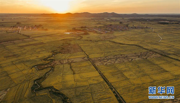 ชาวนาจี๋หลินอิ่มสุขปีนี้ผลผลิตอุดมสมบูรณ์