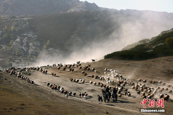 ชาวปศุสัตว์ในซินเจียงของจีนอพยพหนีหนาว