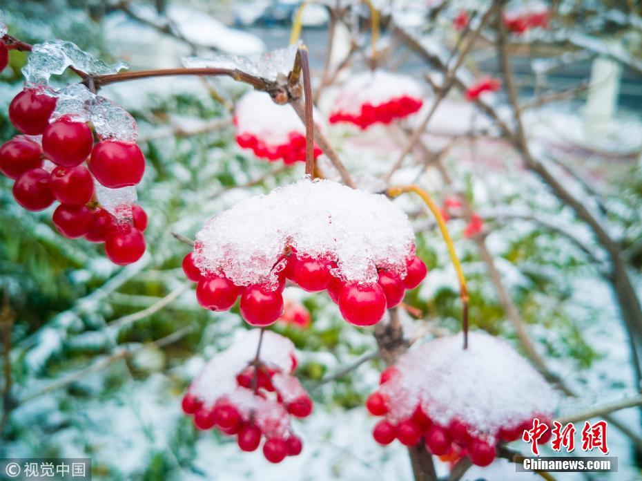 图片默认标题_fororder_20181029下雪2