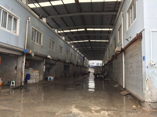 Few stores at the Donggang Yellow Sea Seafood Products Wholesale Market, the biggest local such market that dispatches goods to across the country, remained operating on Monday. [Photo: Global Times/Deng Xiaoci]