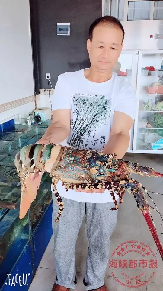 价值数十万的大龙虾 Lobster valued at hundreds of thousands of yuan