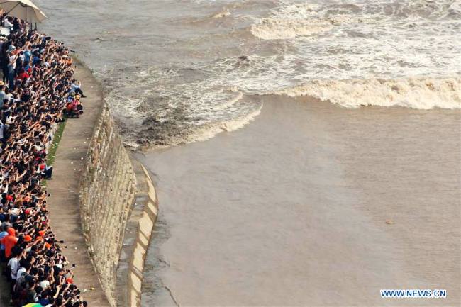 又到钱塘江观潮时 Qiantang tidal bore reaches peak